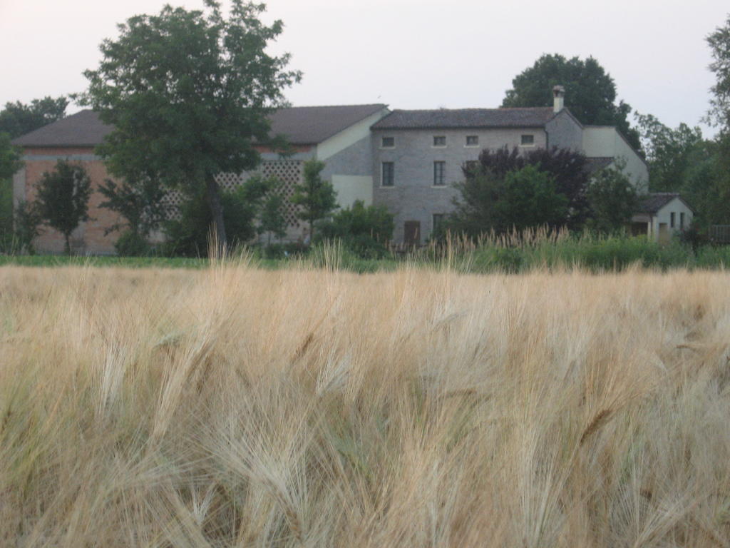 Agriturismo La Rovere Villa Cesole ภายนอก รูปภาพ